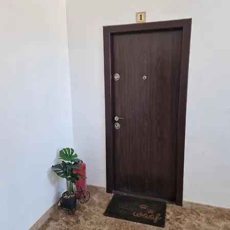 Zona Mamaia アパート